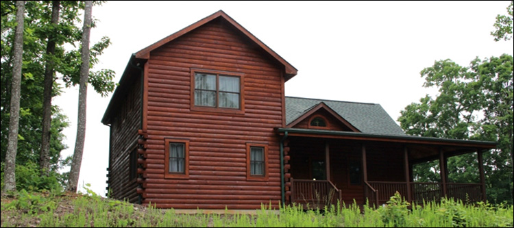 Professional Log Home Borate Application  Lorain County, Ohio